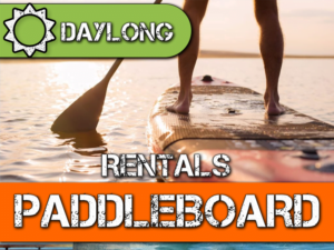 PaddleBoard Rentals, SUP Rentals, Surfing Equipment, Travel and Adventure, Beach Activities, Outdoor Sports, Equipment Rental, Water Sports, Vacation Rentals, Tourism Services, Local Services