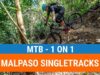 Embark on a personalized mountain biking adventure through the untouched jungles of Sayulita with our 1-on-1 tour on the Malpaso Singletrack. These trails, expertly crafted by Wildmex, are among the first in Mexico designed specifically for mountain biking. Whether you're an adventurous beginner or an advanced rider, the Malpaso trails offer a variety of experiences, from mellow singletrack to more challenging routes with berms, jumps, steep climbs, and rock gardens. Tailor your ride to suit your skill level and enjoy a unique biking experience in Sayulita!