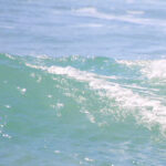 Surf Lesson in Punta mita Mexico