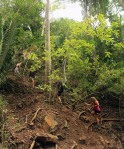 hiking from sayulita to san pancho