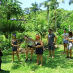 sayulita hiking