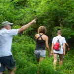 hiking near sayulita
